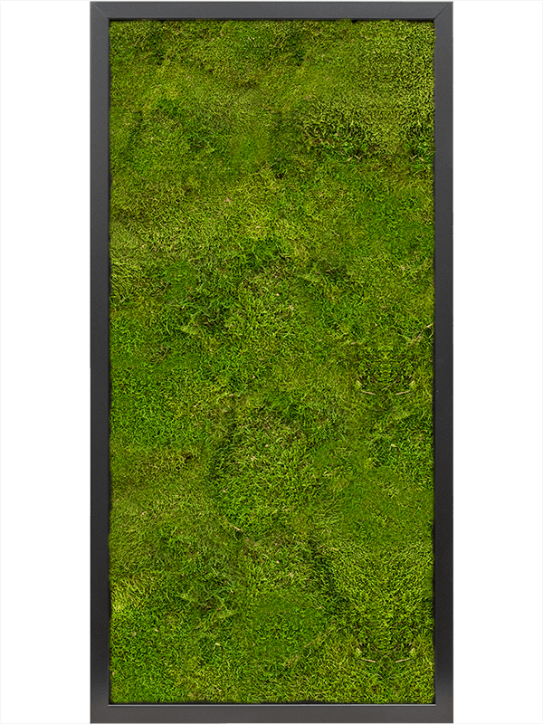 Tablou L80xW80xH6cm MDF RAL 9005 Satin Gloss 100% Flat moss