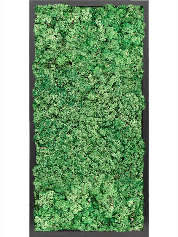 Tablou L80xW80xH6cm MDF RAL 9005 Satin Gloss 100% Reindeer moss (Grass Green)