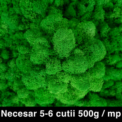 Licheni curatati si fara radacina conservati 500g NET. calitate ULTRA PREMIUM. verde smarald RR02