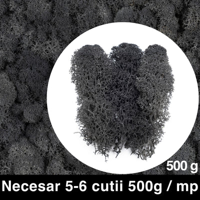 Licheni curatati si fara radacina conservati 500g NET. calitate PREMIUM. gri antracit RR23