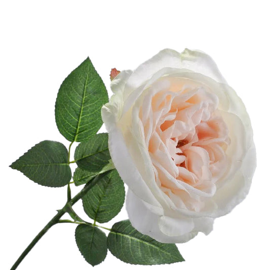 Tradandafir artificial alb H36 cm DE