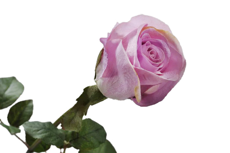 Tradandafir artificial mov H65 cm DE