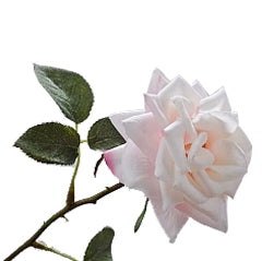 Tradandafir artificial roz D8xH33 cm DE