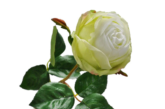 Tradandafir artificial verde D8x6xH49 cm DE