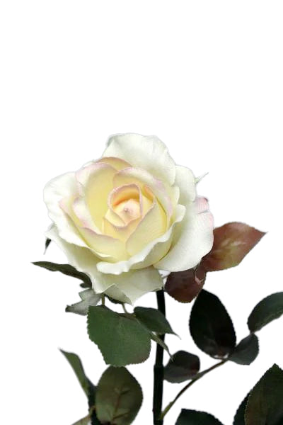 Trandafir artificial crem Chianti D8xH95 cm HO