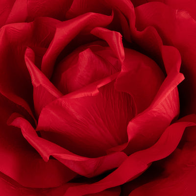 Trandafir artificial D65xH170 cm rosu cu tulpina fara suport