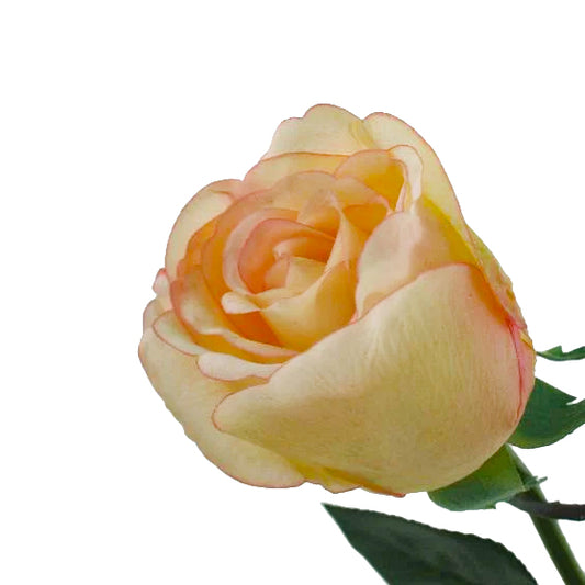 Trandafir artificial Jessica 70 cm HO galben piersica