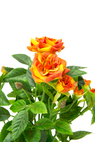 Trandafiri artificial portocaliu Diamond H20 cm