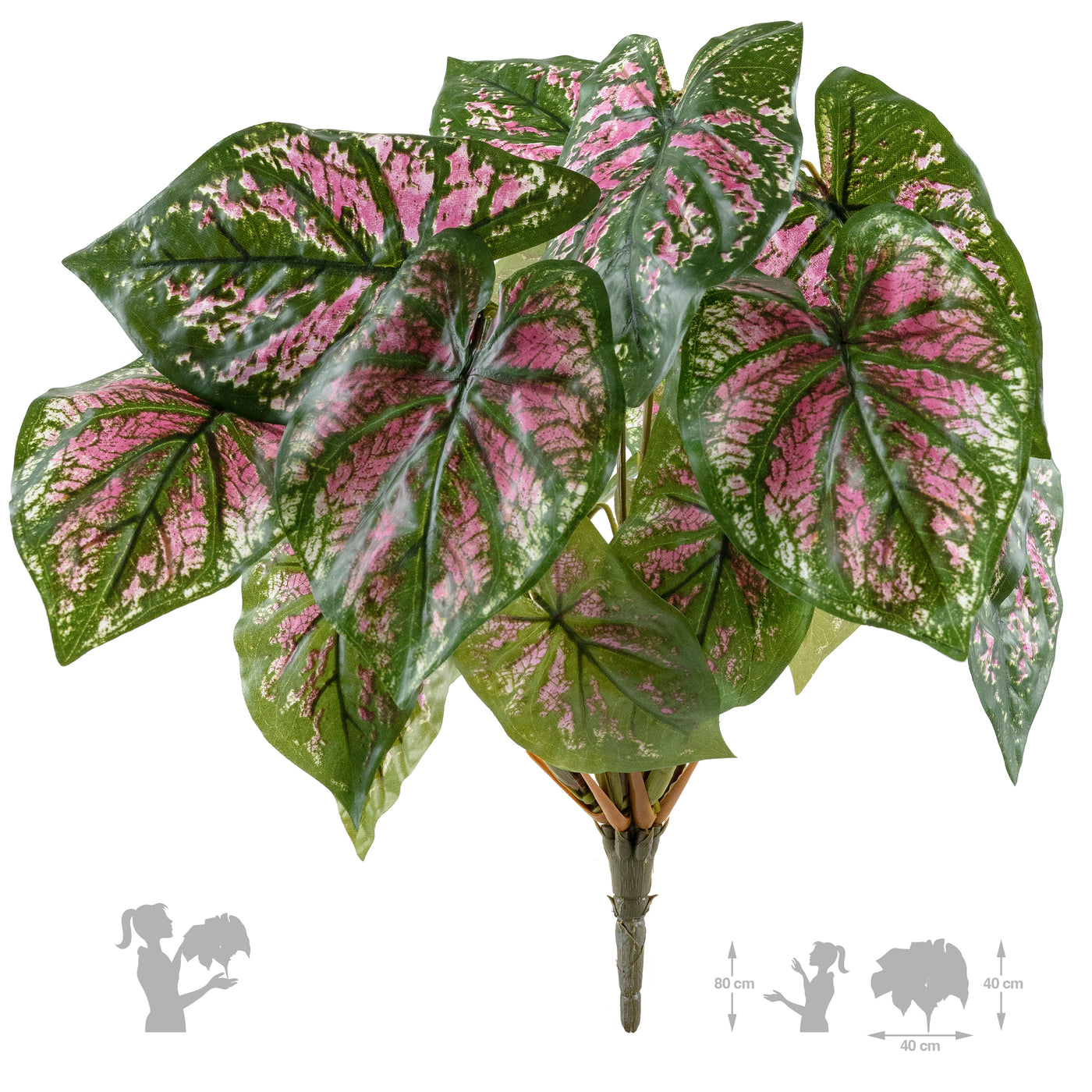 Tufa artificiala Caladium