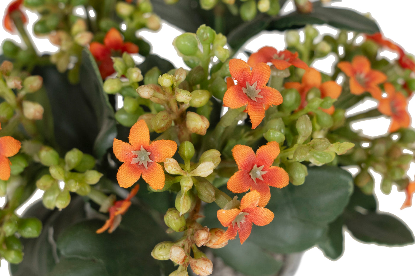 Tufa artificiala cu flori roz Kalanchoe H8 cm