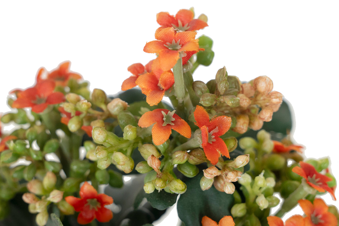 Tufa artificiala cu flori roz Kalanchoe H8 cm