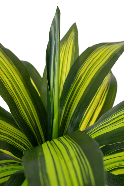 Tufa artificiala Dracaena cintho cu 24 frunze D60xH65 cm