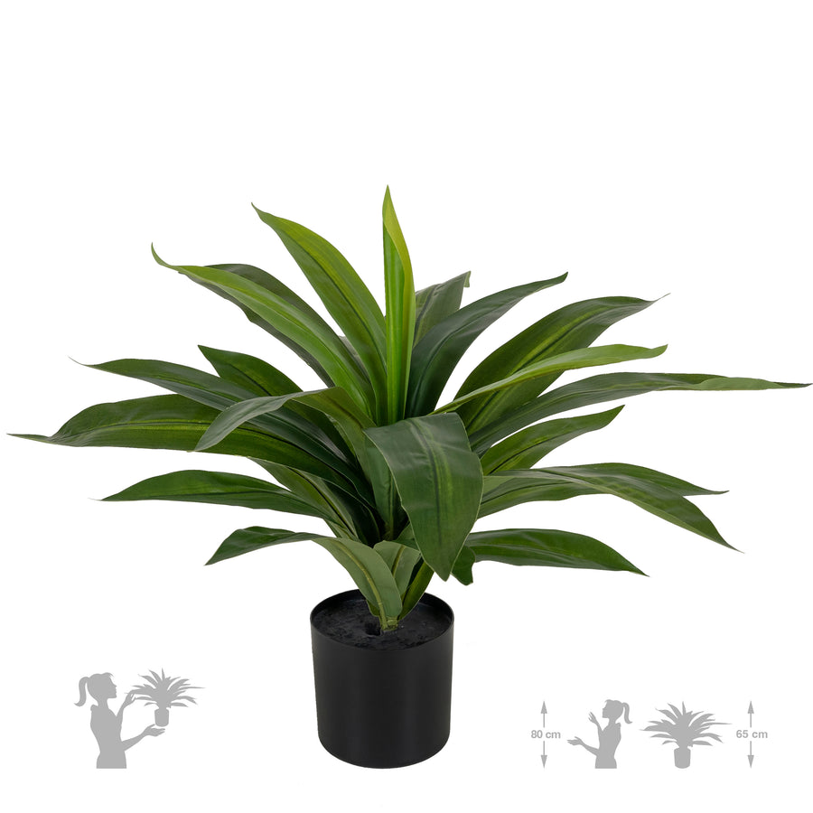 Tufa artificiala Dracaena janet craig in ghiveci cu 24 frunze D50xH65 cm