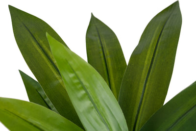 Tufa artificiala Dracaena janet craig in ghiveci cu 24 frunze D50xH65 cm