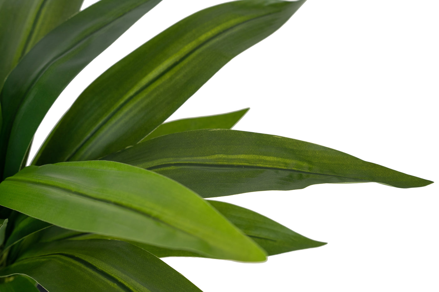 Tufa artificiala Dracaena janet craig in ghiveci cu 24 frunze D50xH65 cm