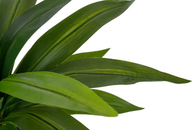 Tufa artificiala Dracaena janet craig in ghiveci cu 24 frunze D50xH65 cm