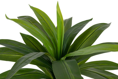 Tufa artificiala Dracaena janet craig in ghiveci cu 24 frunze D50xH65 cm