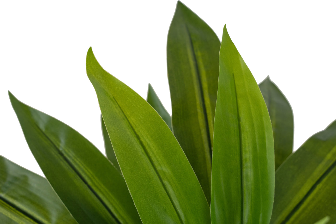 Tufa artificiala Dracaena janet craig in ghiveci cu 24 frunze D50xH65 cm