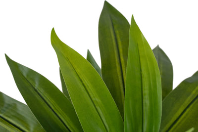 Tufa artificiala Dracaena janet craig in ghiveci cu 24 frunze D50xH65 cm