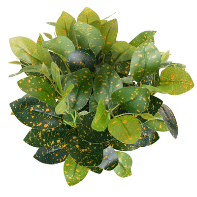 Tufa artificiala Dracaena surculosa D35xH40 cm