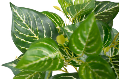 Tufa artificiala Philodendron birkin variegat verde cu alb D35xH40 cm cu protectie UV