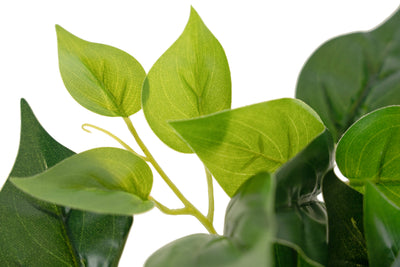 Tufa artificiala Philodendron D24xH30 cm