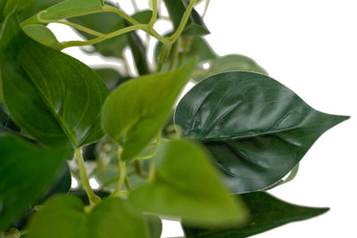 Tufa artificiala Philodendron D30xH38 cm