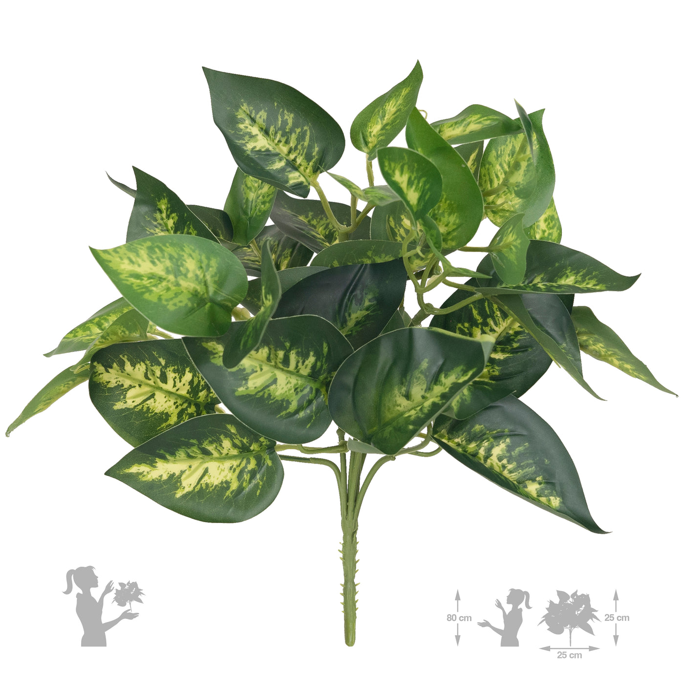 Tufa artificiala Pothos D24xH30 cm