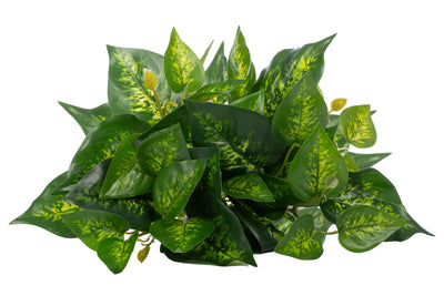 Tufa artificiala Pothos D35xH40 cm cu protectie protectie UV