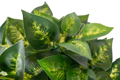 Tufa artificiala Pothos D40xH40 cm