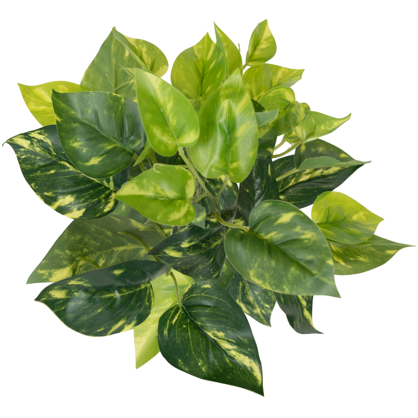 Tufa artificiala Scindapsus D24xH30 cm