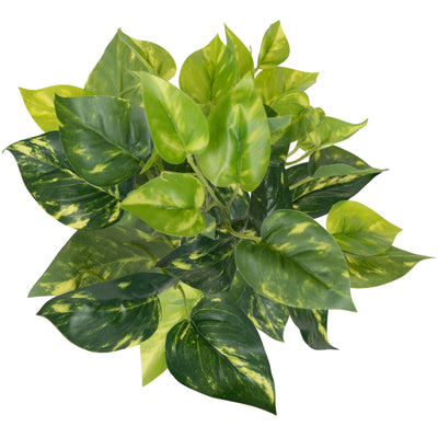 Tufa artificiala Scindapsus D24xH30 cm