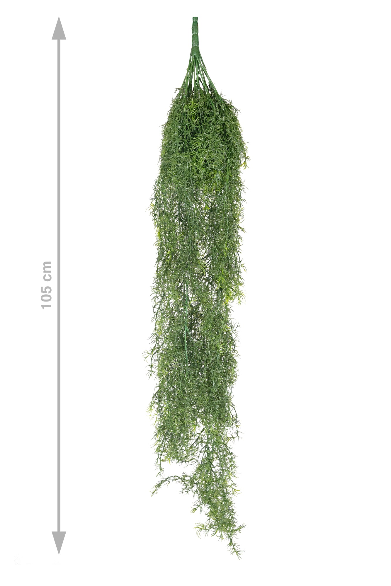 Tufa decorativa Springeri 115 cm