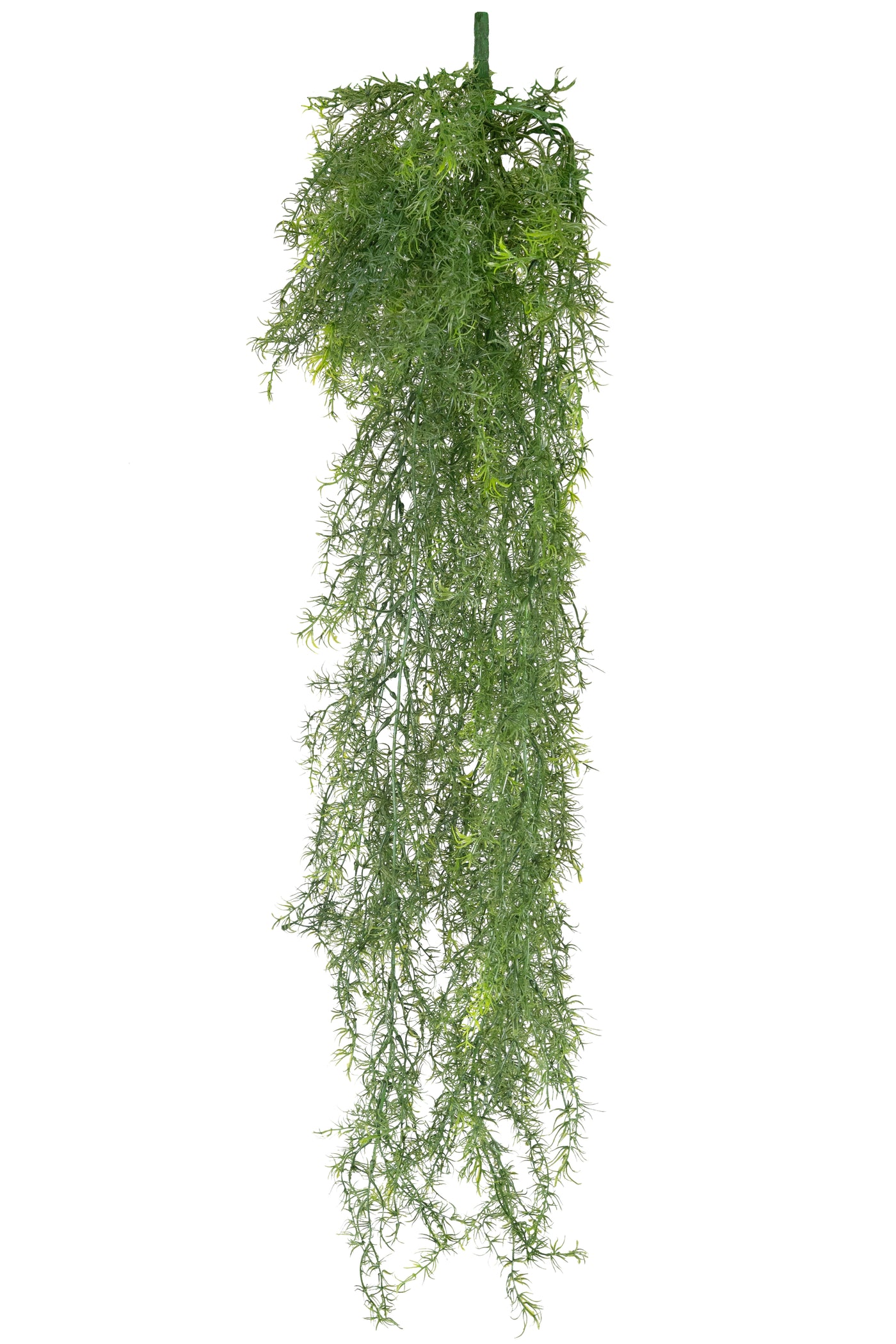 Tufa decorativa Springeri 115 cm
