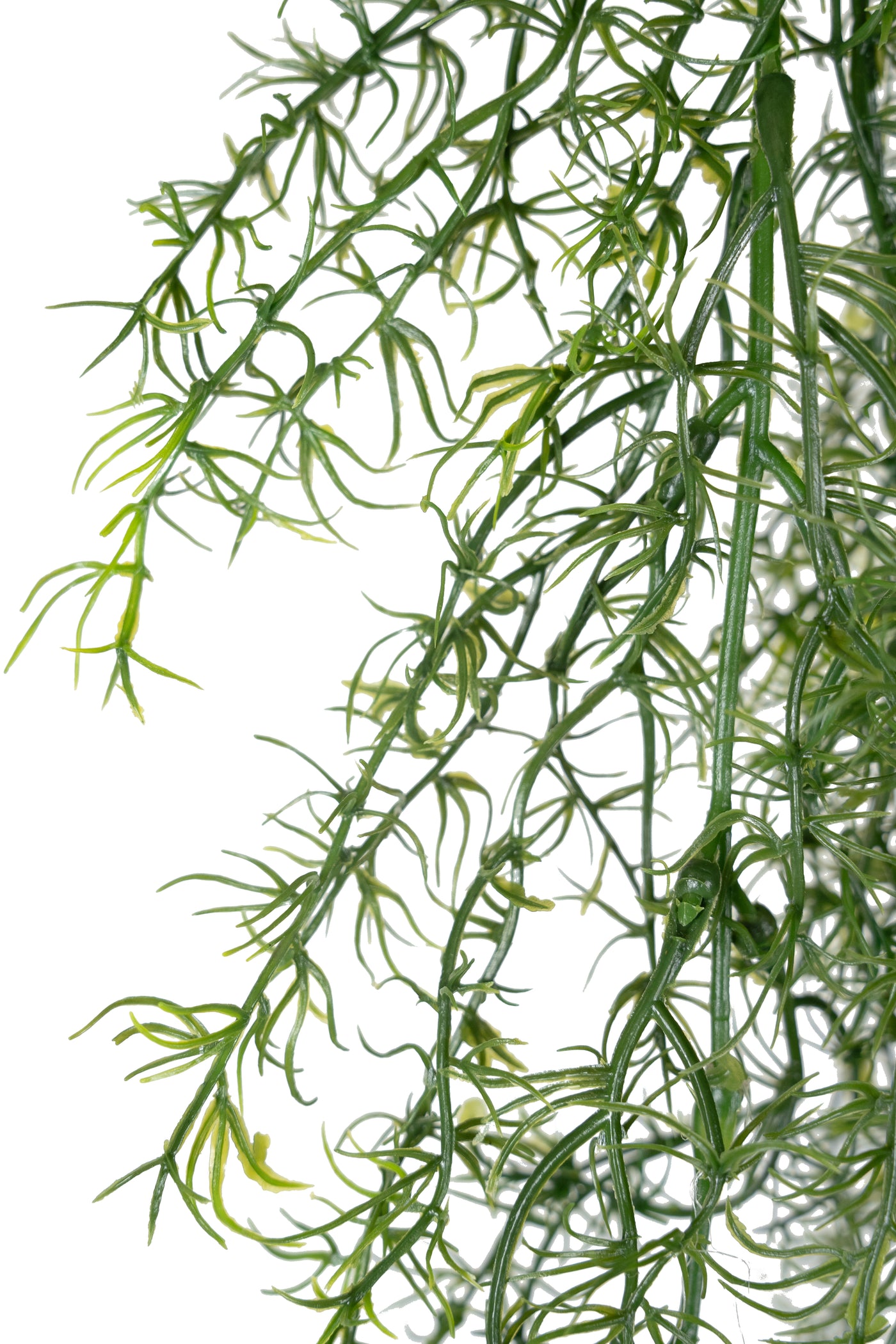 Tufa decorativa Springeri 115 cm