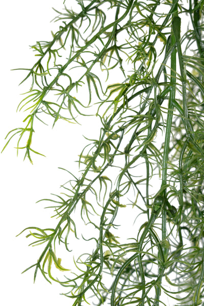 Tufa decorativa Springeri 115 cm