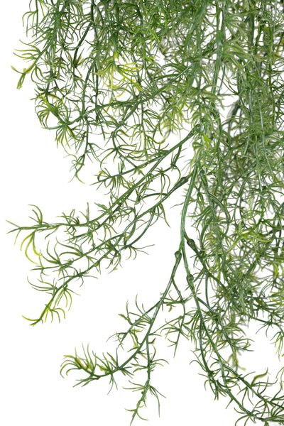 Tufa decorativa Springeri 115 cm