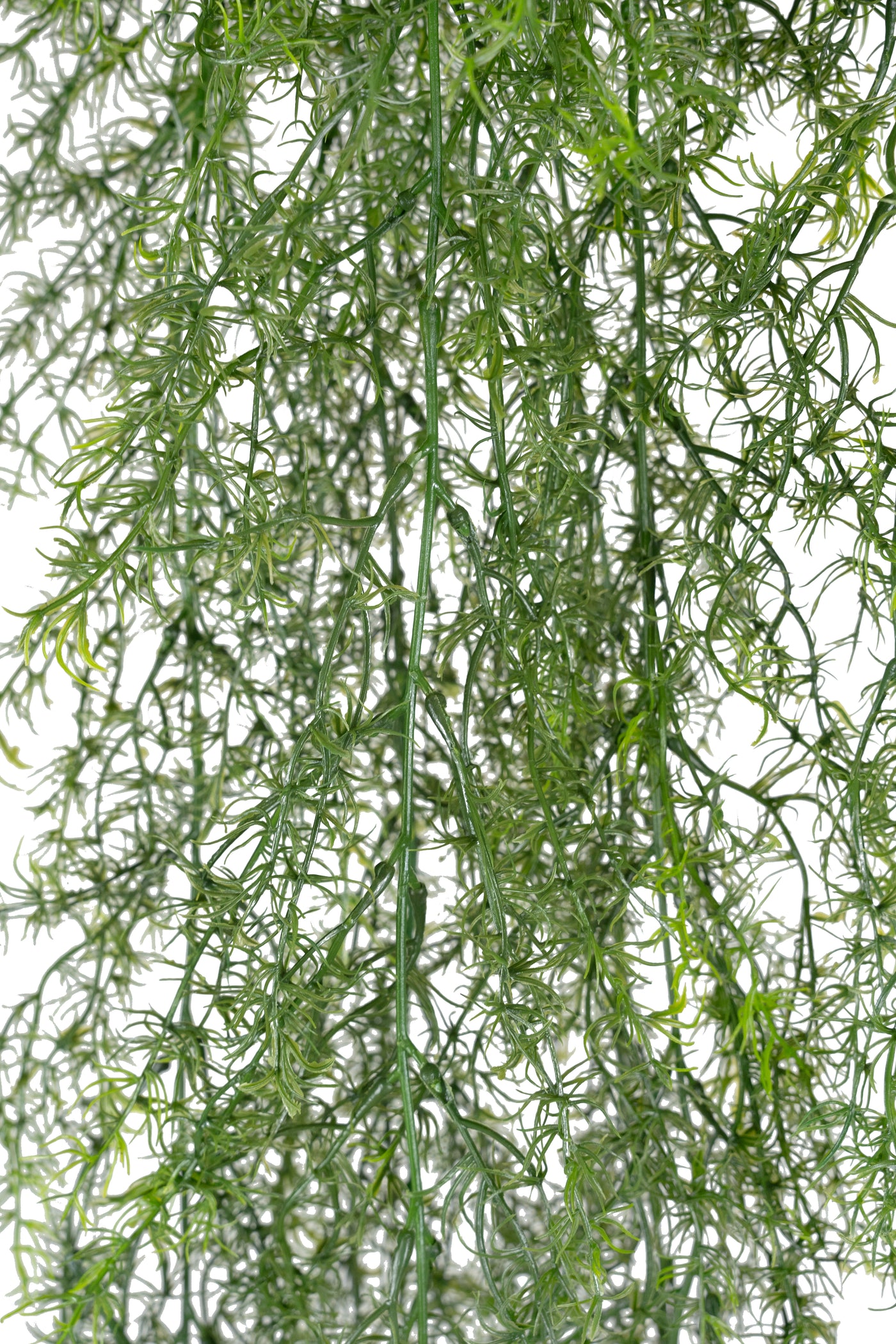 Tufa decorativa Springeri 115 cm