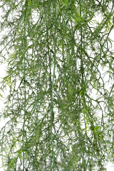 Tufa decorativa Springeri 115 cm